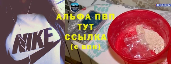 гашик Алексин
