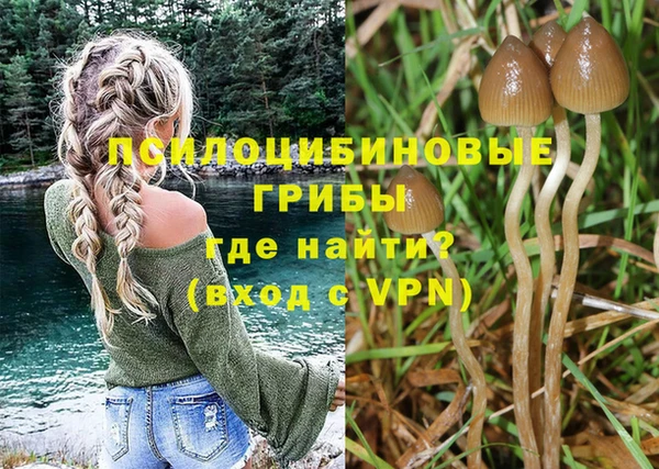 спиды Арсеньев