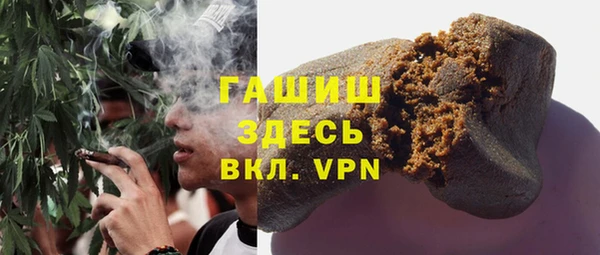 гашик Алексин
