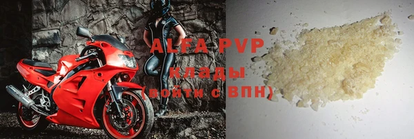 гашик Алексин
