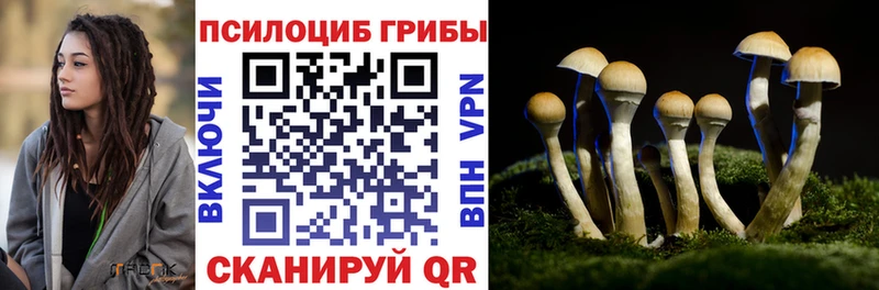 Галлюциногенные грибы Magic Shrooms Волгодонск